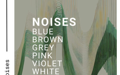 The power of Noise; a Multicoloured Symphony of Sound Noises