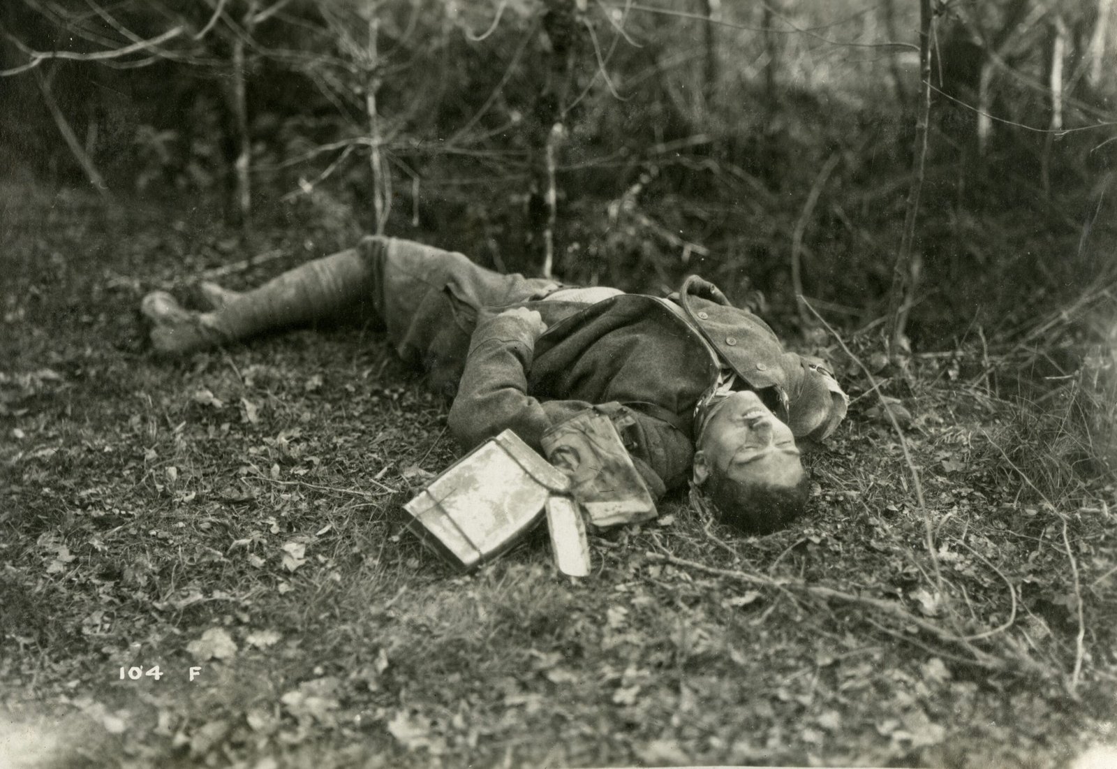 Cento anni di guerra 1914 - 1918