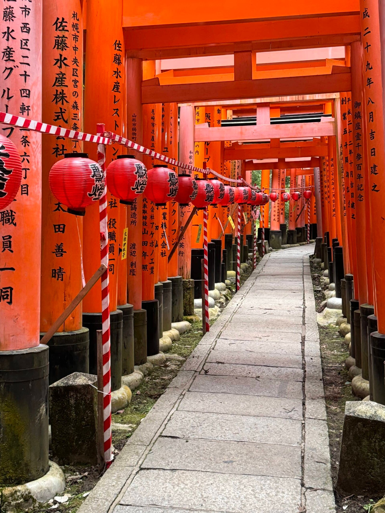 japanWC