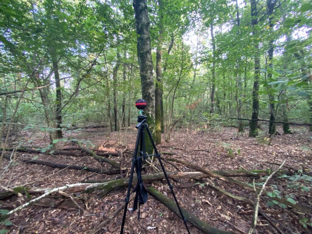 On Slop, Reality and What's Next 1 IMG 1177