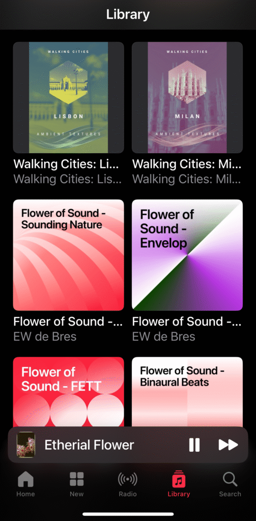 How to Build Your Own Binaural Music Library on Your Phone and Computer 2 IMG 8204 e1764968528158
