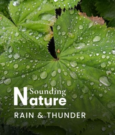 Artwork Sounding Nature Rain & Thunder