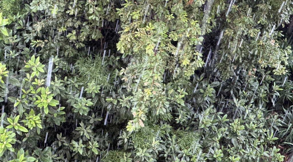 Rain sounds vs white noise: which actually works better for sleep and focus? 1 rain, sounding nature