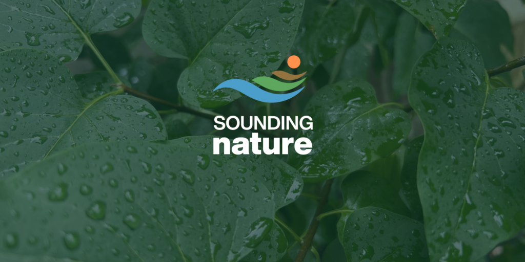 Why Nature Sounds Feel More Real in 3D, And What That Does to Your Body 4 Sounding Nature logo
