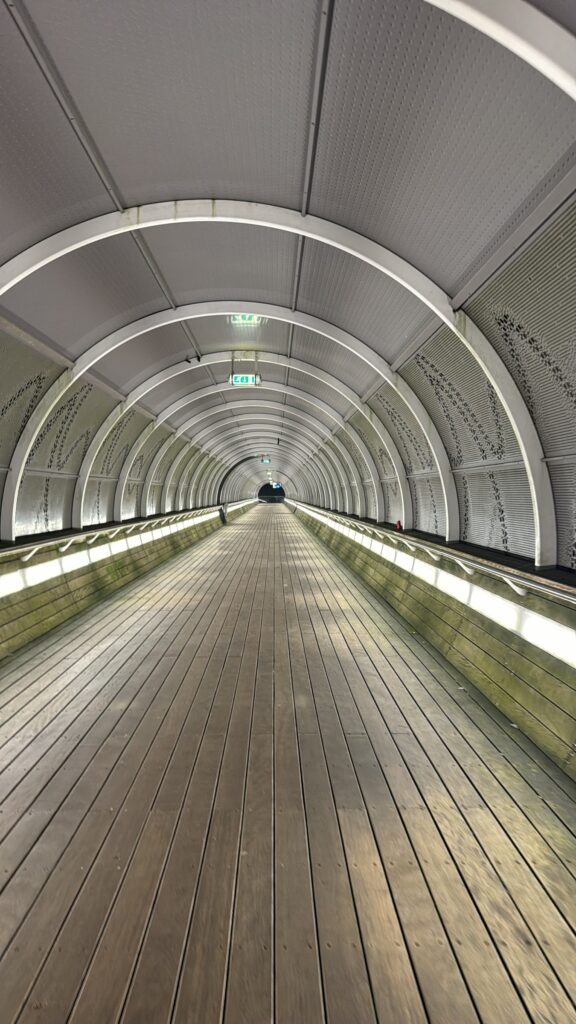 Does birdsong actually signal safety? 3 tunnel circular 1